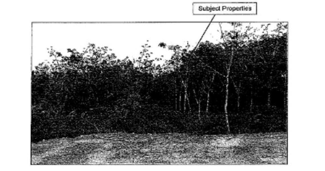 Picture3 - 5 Parcels.jpg